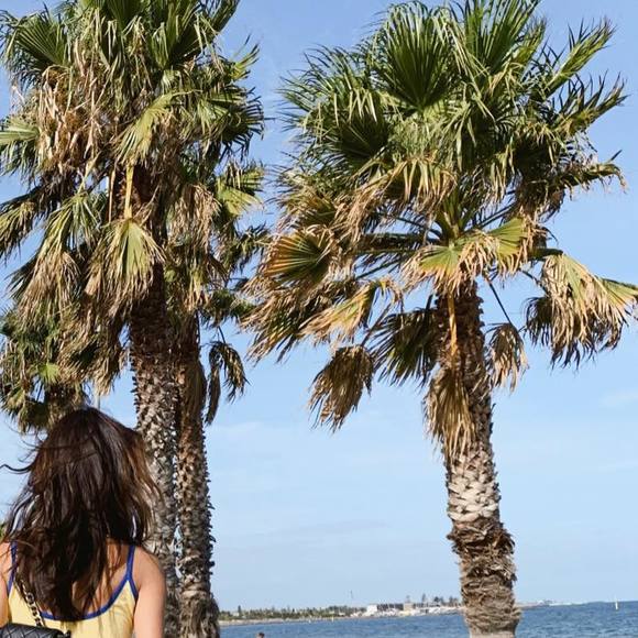 Meet your Posher, Josie - Picture 1 of 1